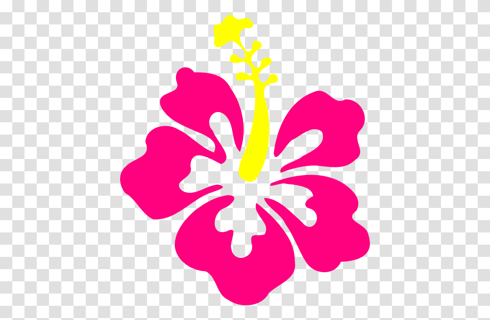 Flor Moana Image, Hibiscus, Flower, Plant, Blossom Transparent Png