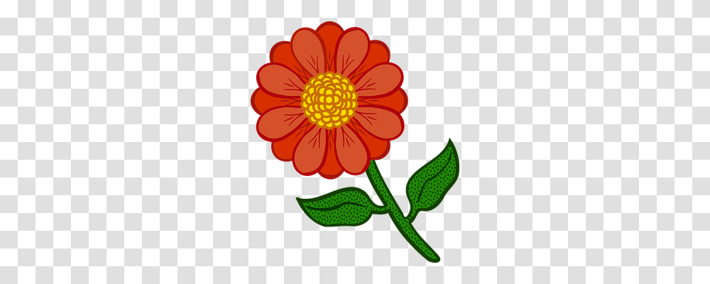 Flora Nature, Dahlia, Flower, Plant Transparent Png