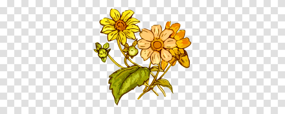 Flora Nature, Floral Design Transparent Png