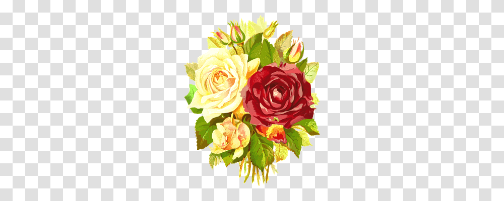 Flora Nature, Rose, Flower, Plant Transparent Png