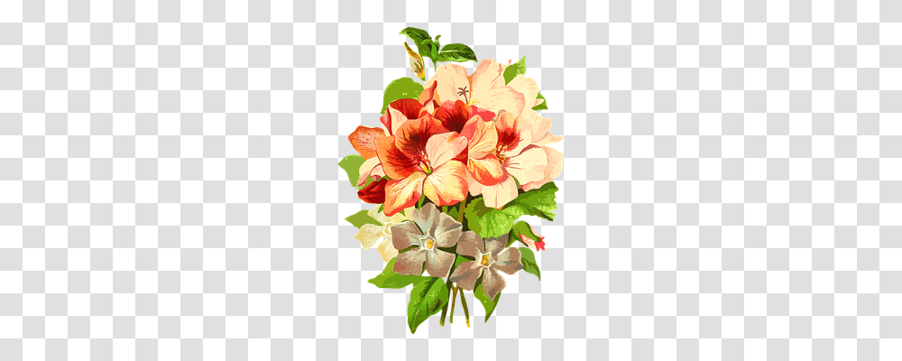 Flora Nature, Plant, Geranium, Flower Transparent Png