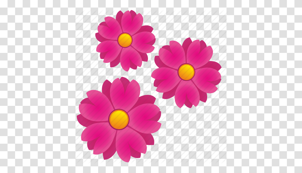 Flora Flower Flowers Nature Icon, Plant, Dahlia, Blossom, Petal Transparent Png