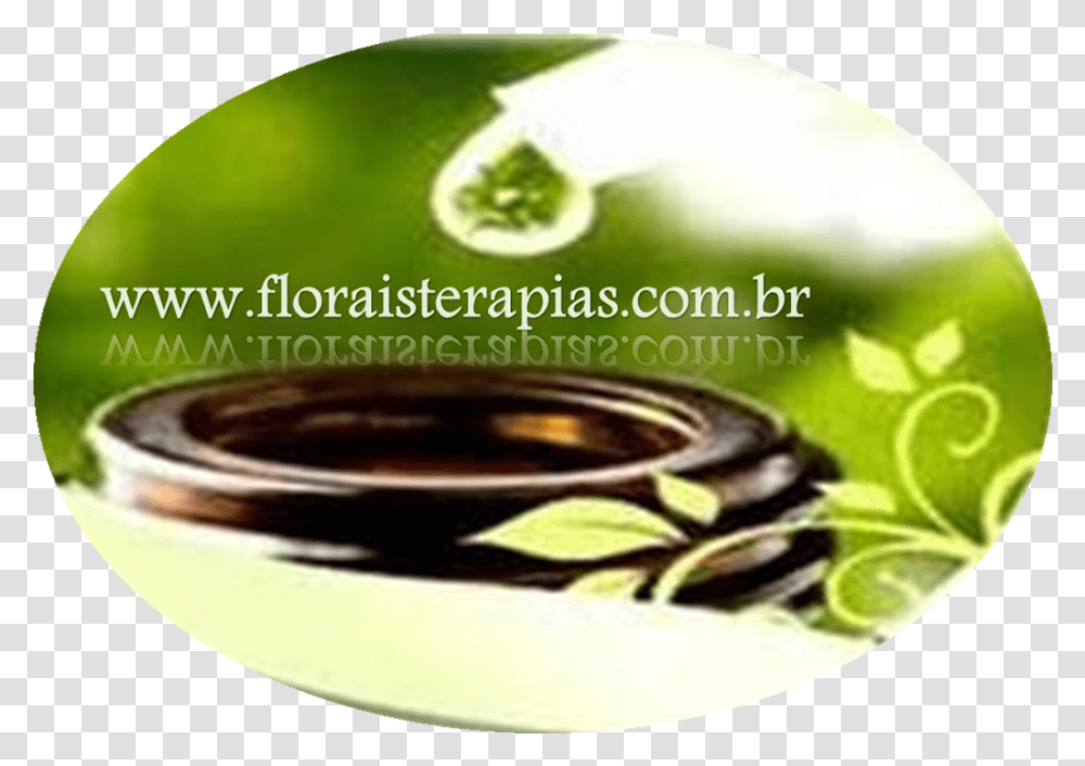 Florais Terapias Cd, Ring, Accessories, Plant, Beverage Transparent Png