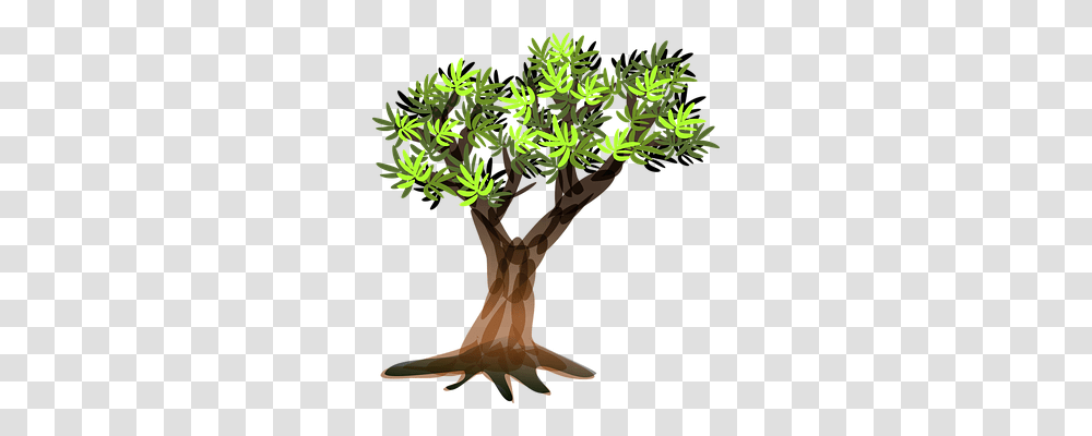 Floral Nature, Tree, Plant, Bush Transparent Png