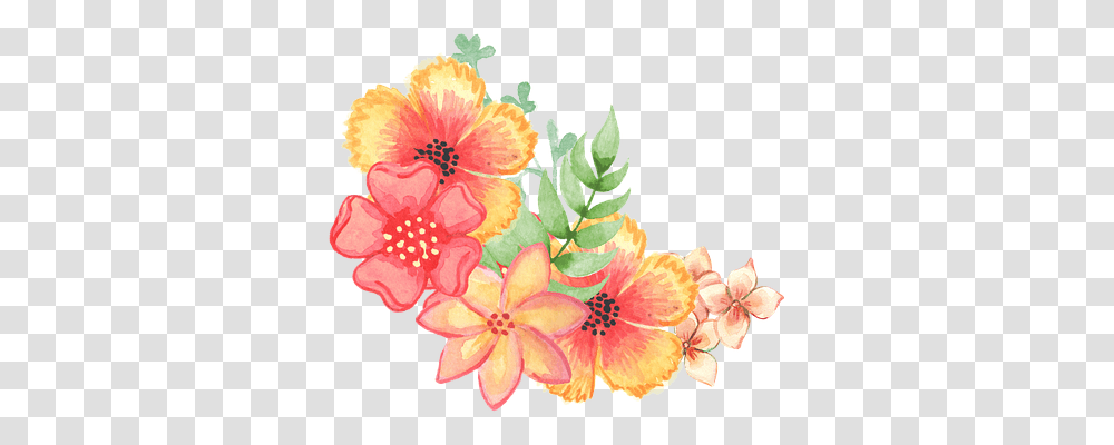 Floral Nature, Plant, Flower, Floral Design Transparent Png