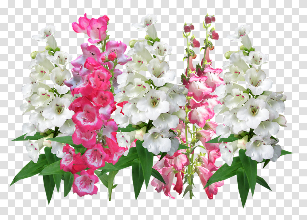 Floral 960, Flower, Plant, Blossom, Flower Bouquet Transparent Png