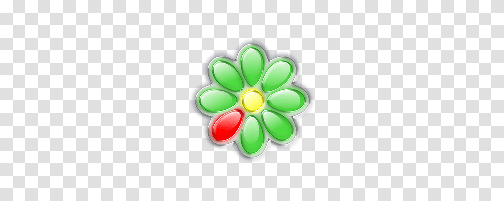 Floral Jewelry, Accessories, Accessory Transparent Png