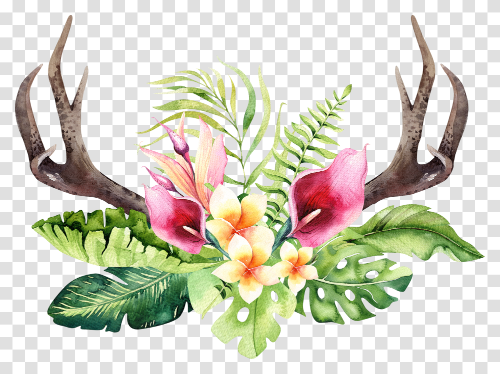 Floral Antler Clipart Watercolor Tropical Flowers, Plant, Leaf, Bird, Animal Transparent Png