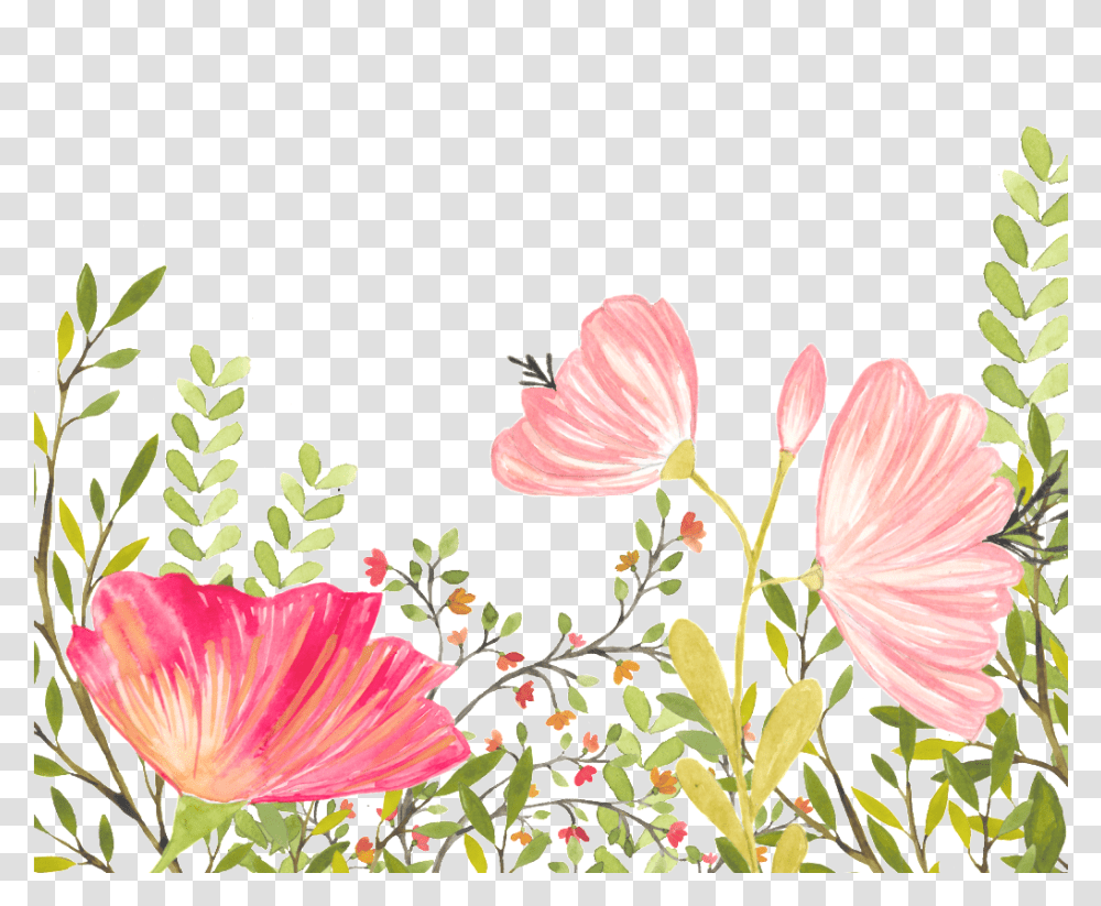 Floral Background Free Free Download Floral Background, Plant, Hibiscus, Flower, Blossom Transparent Png