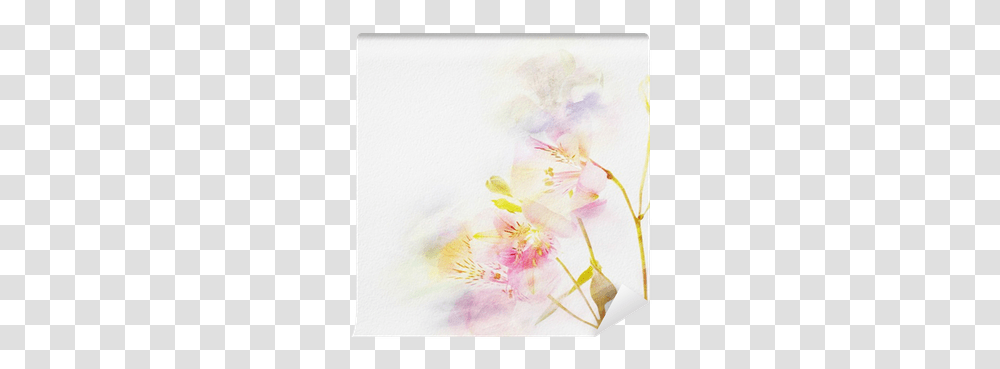 Floral Background With Watercolor Flowers Wall Mural • Pixers We Live To Change Moth Orchids, Plant, Painting, Art, Vase Transparent Png
