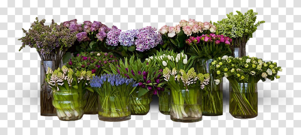 Floral Banner, Plant, Flower Bouquet, Flower Arrangement, Blossom Transparent Png