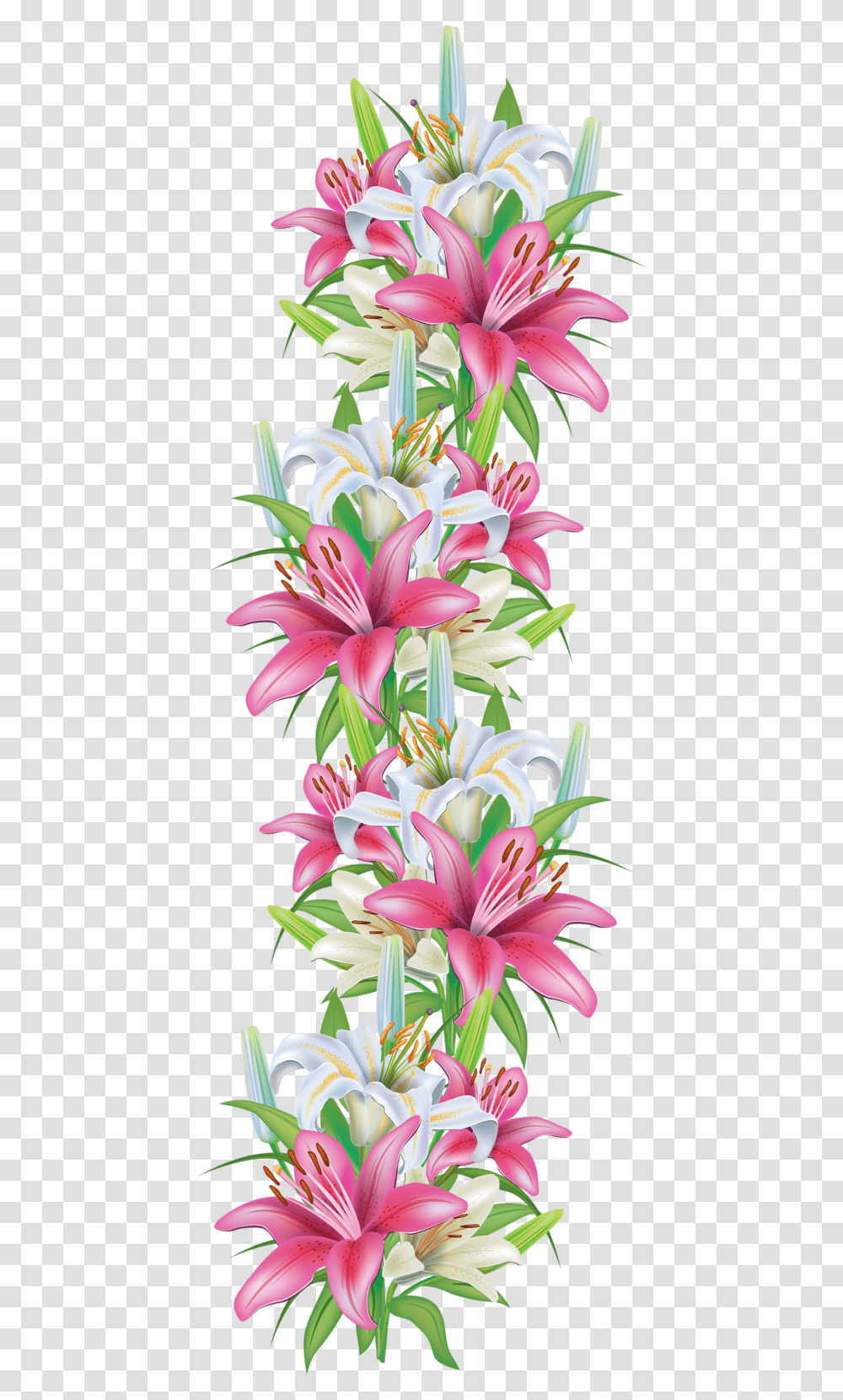 Floral Border Decorations, Plant, Lily, Flower, Blossom Transparent Png