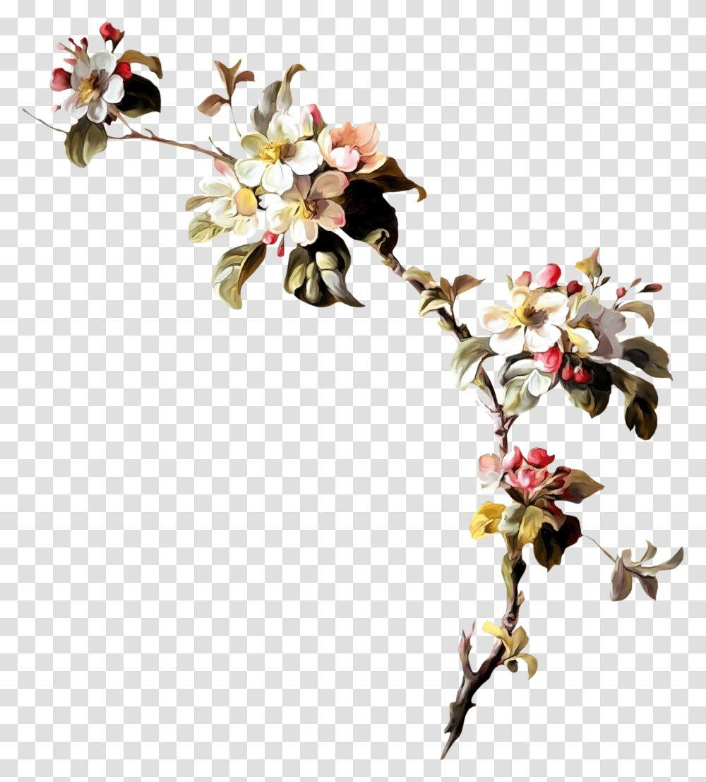 Floral Branches, Floral Design, Pattern Transparent Png