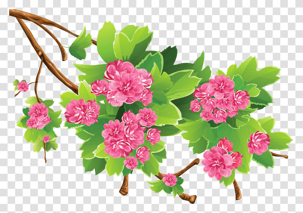 Floral Clipart Background Clipart Background, Plant, Flower, Blossom, Graphics Transparent Png