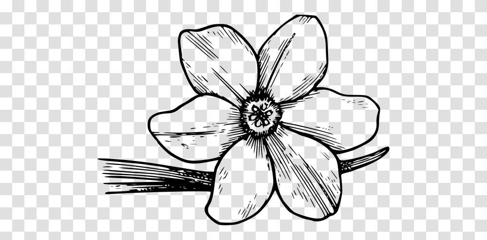 Floral Clipart Designs, Gray, World Of Warcraft Transparent Png