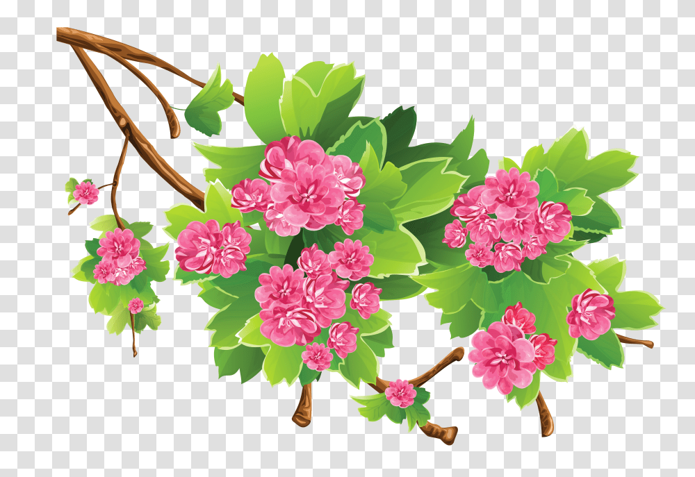 Floral Clipart Spring, Plant, Flower, Floral Design Transparent Png
