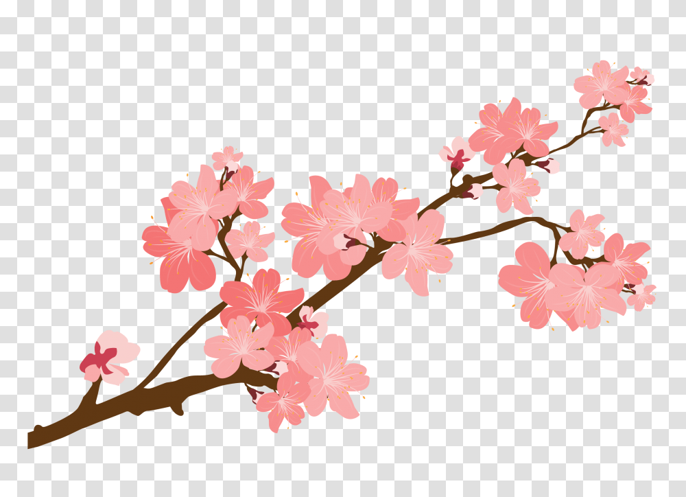 Floral Clipart Sticker Floral Sticker Free, Plant, Flower, Blossom, Cherry Blossom Transparent Png