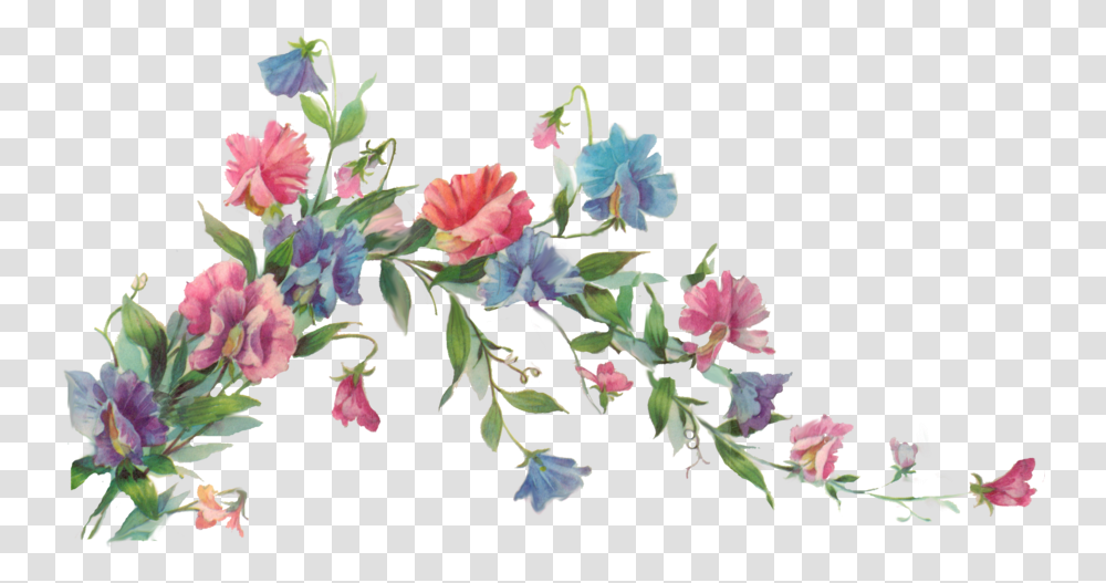 Floral Clipart Vectors Vine With Flowers Painting, Plant, Blossom, Petal, Acanthaceae Transparent Png