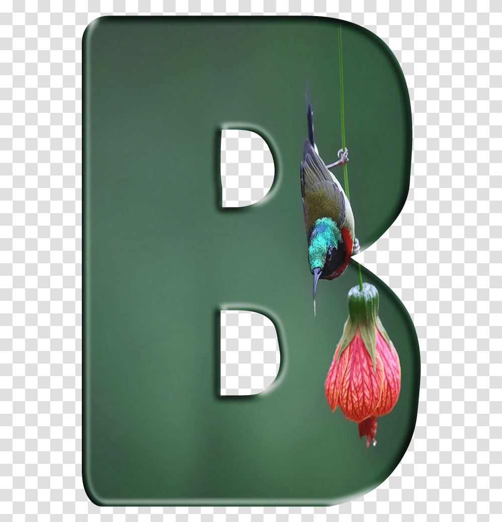 Floral Design, Bee Eater, Bird, Animal, Bluebird Transparent Png