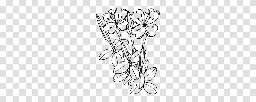 Floral Design Curtiss Botanical Magazine Drawing Flower Petal, Gray, World Of Warcraft Transparent Png