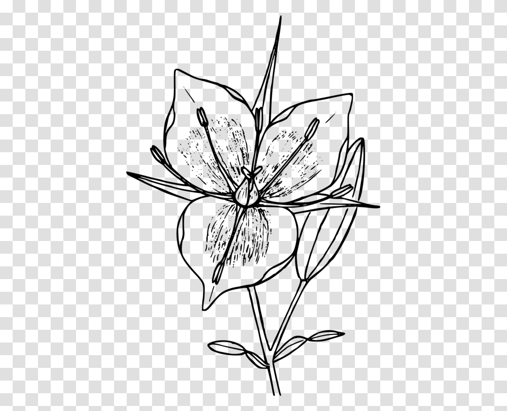 Floral Design Drawing Flower Line Art Computer Icons Free, Gray, World Of Warcraft Transparent Png