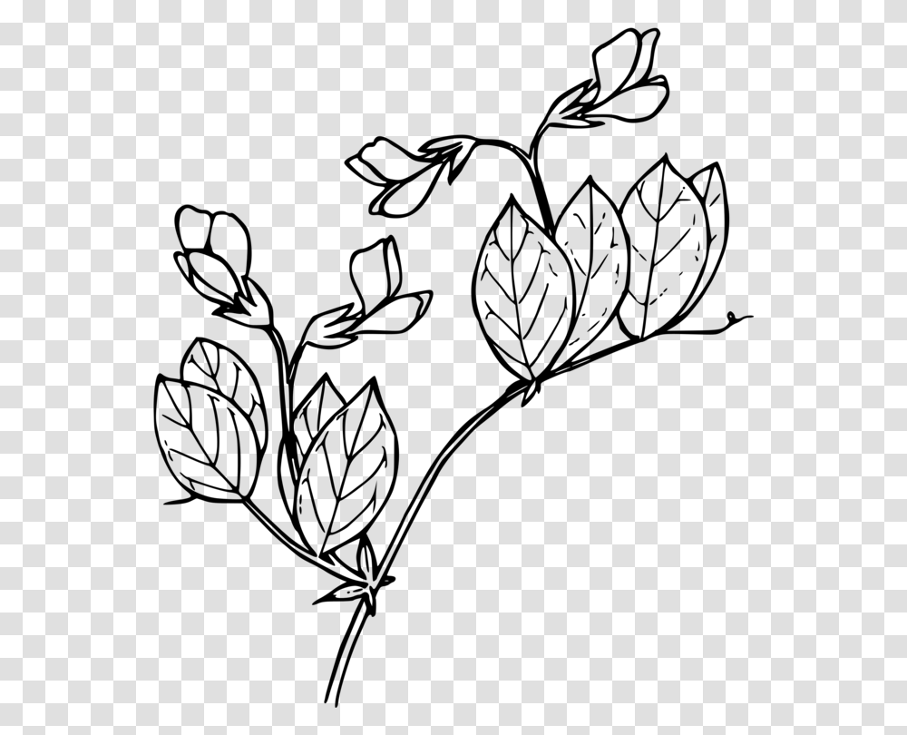 Floral Design Drawing Line Art Visual Arts Black And White Free, Gray, World Of Warcraft Transparent Png