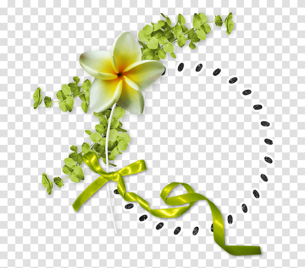 Floral Design Flower Flower, Plant, Blossom, Petal Transparent Png