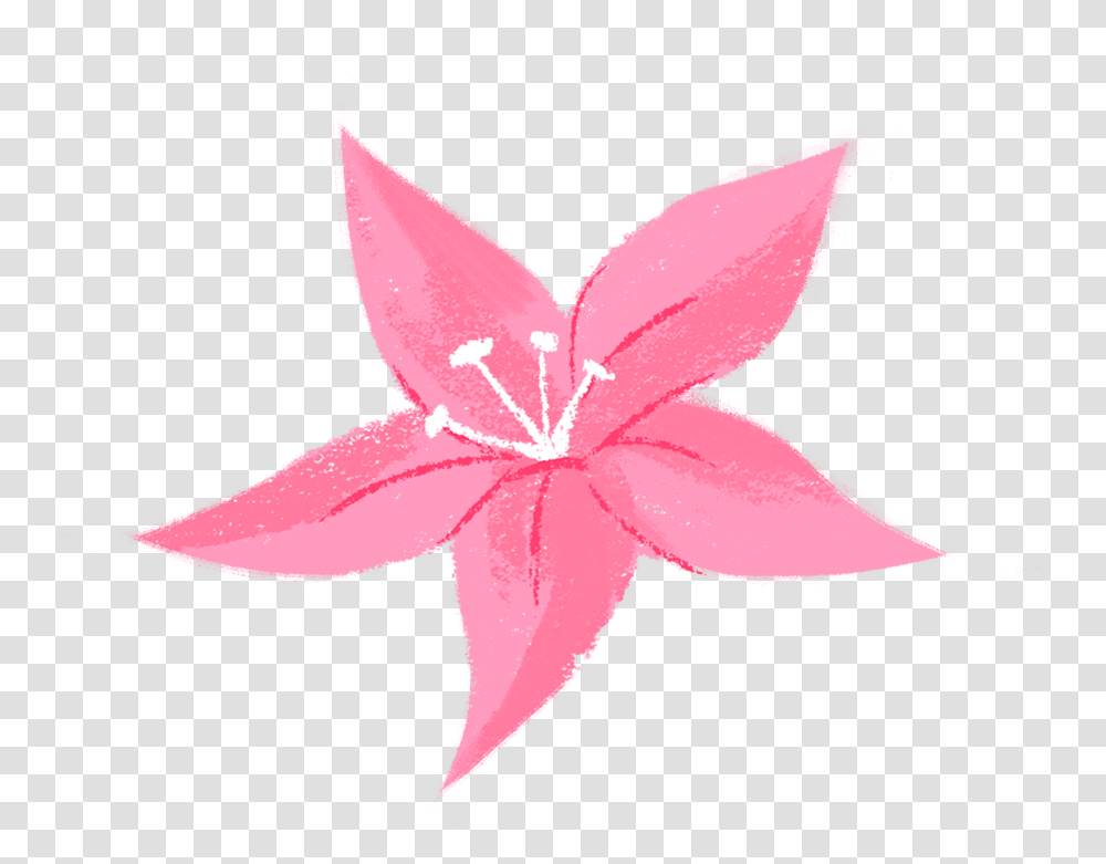 Floral Design, Plant, Insect Transparent Png