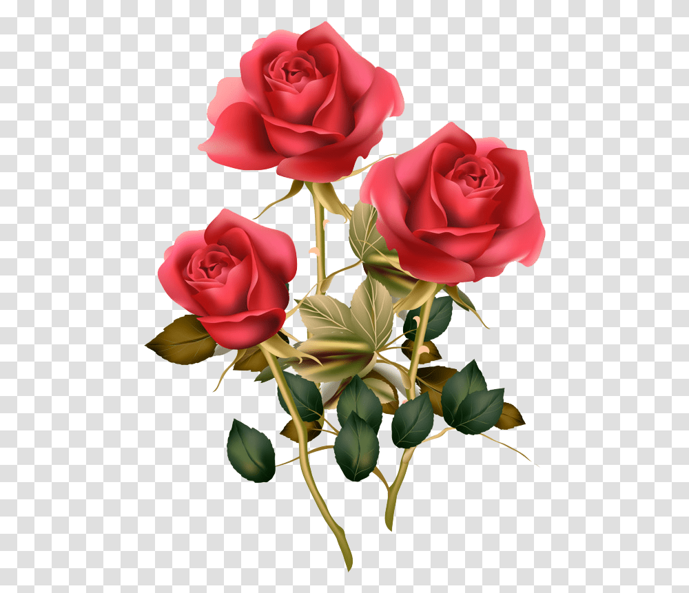 Floral Design Image Red Rose Good Morning Rose Flower, Plant, Blossom, Flower Bouquet, Flower Arrangement Transparent Png