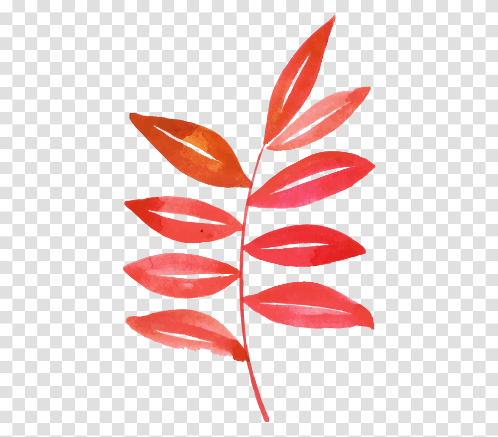 Floral Design, Leaf, Plant, Petal, Flower Transparent Png