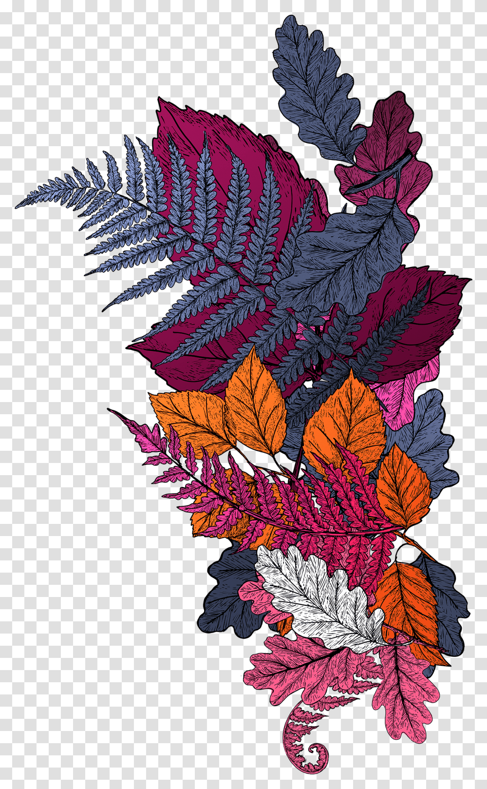 Floral Design, Leaf, Plant, Tree, Maple Leaf Transparent Png