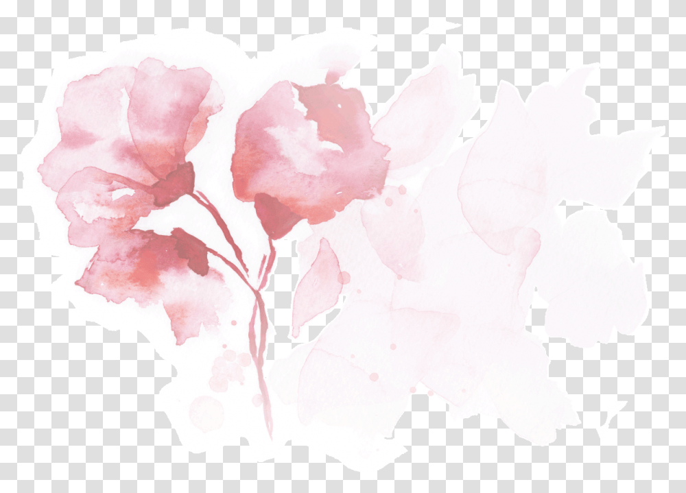 Floral Design, Plant, Flower, Blossom, Rose Transparent Png