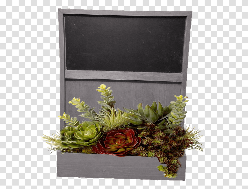 Floral Design, Plant, Flower, Flower Arrangement, Wood Transparent Png