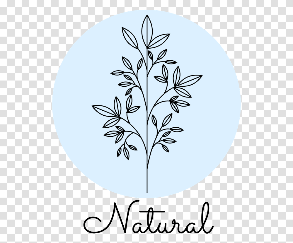 Floral Design, Plant, Food, Egg, Moon Transparent Png