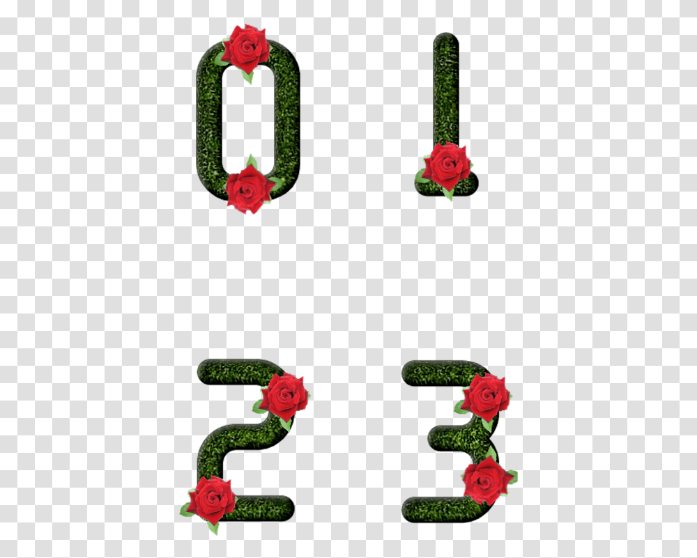 Floral Design, Plant, Rose, Flower, Alphabet Transparent Png