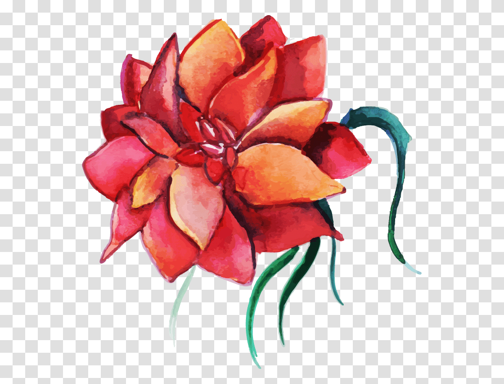 Floral Design, Rose, Flower, Plant, Petal Transparent Png