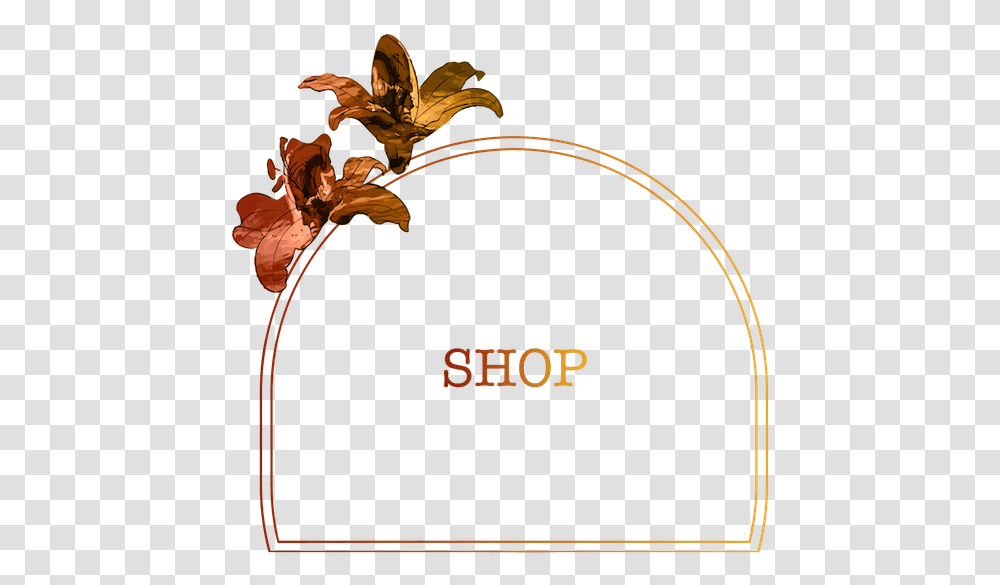 Floral Design, Pattern Transparent Png