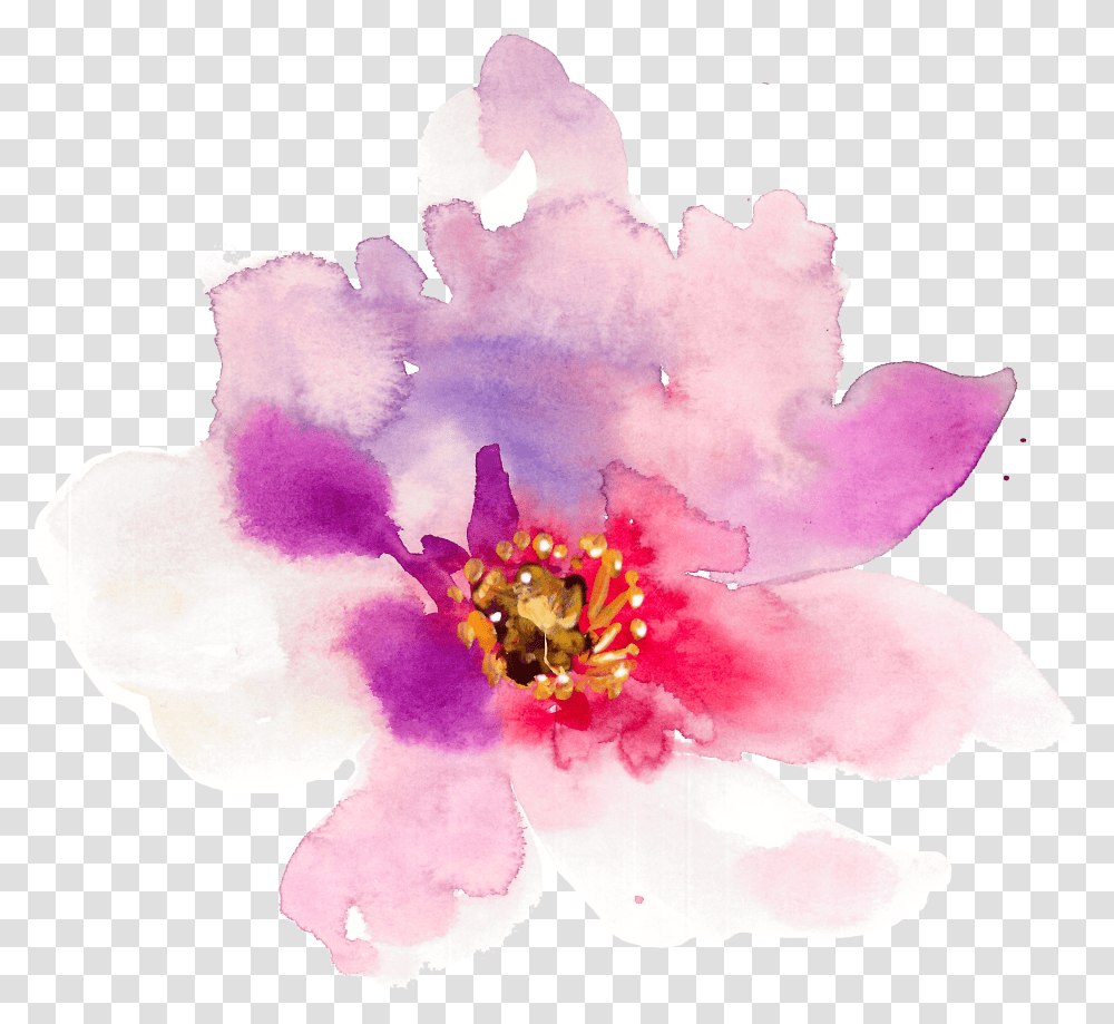 Floral Design Watercolor Painting Spring Flower Watercolor Transparent Png