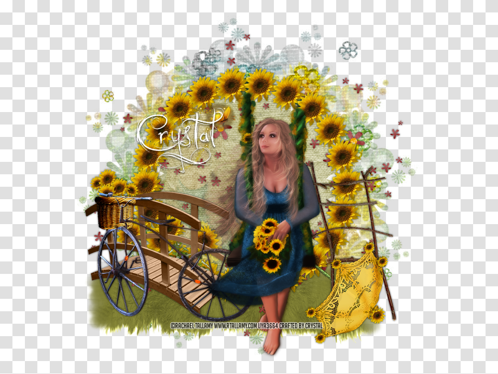 Floral Design, Wheel, Bicycle, Vehicle, Transportation Transparent Png