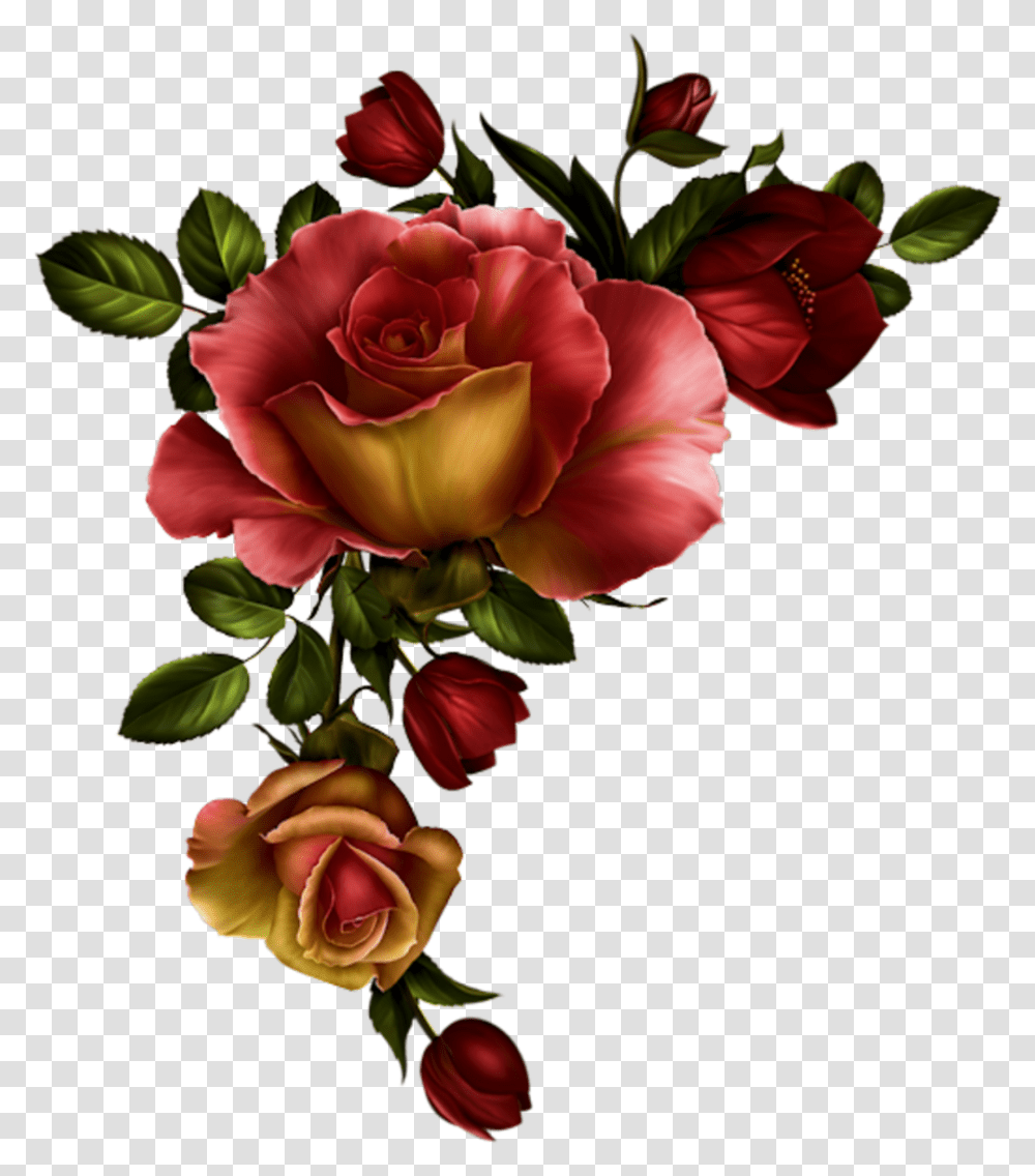 Floral Divider Watercolor Red Roses Red Roses, Flower, Plant, Blossom, Petal Transparent Png