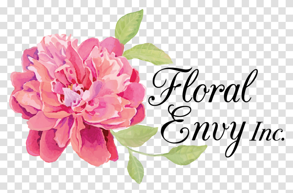 Floral Envy Ottawa Flower & Gift Basket Delivery Florals, Plant, Blossom, Peony, Carnation Transparent Png