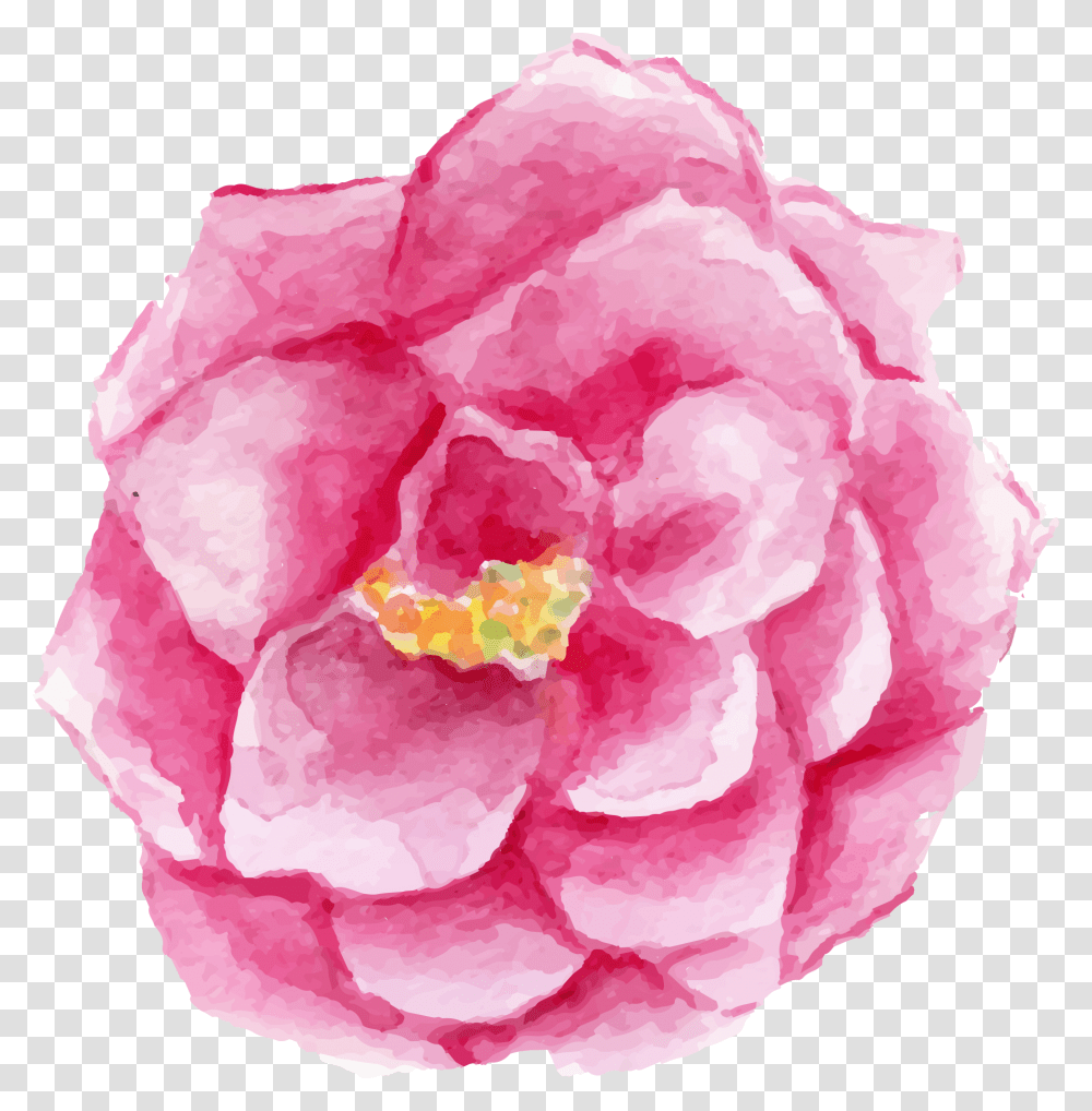 Floral Flores, Plant, Rose, Flower, Blossom Transparent Png