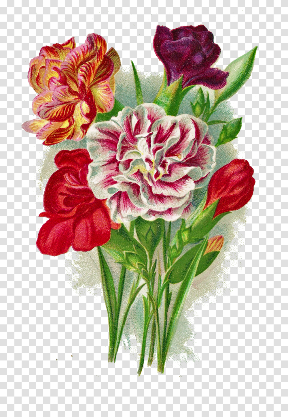 Floral Flower Art, Plant, Blossom, Flower Arrangement, Flower Bouquet Transparent Png