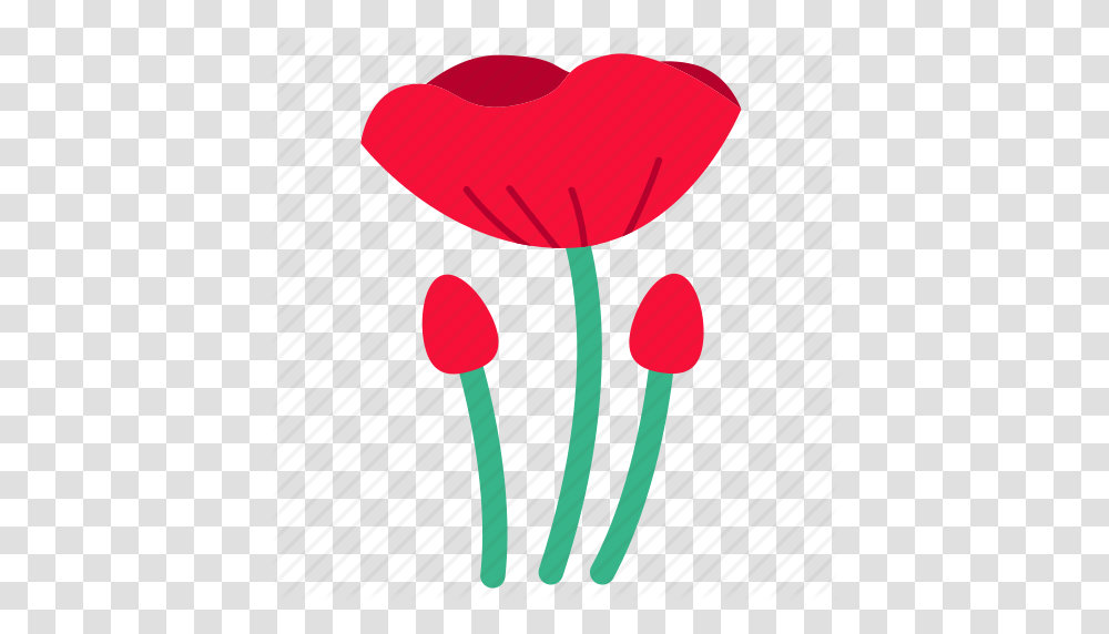Floral Flower Flowers Opium Poppy Red Wildflower Icon, Plant, Petal, Blossom, Tulip Transparent Png