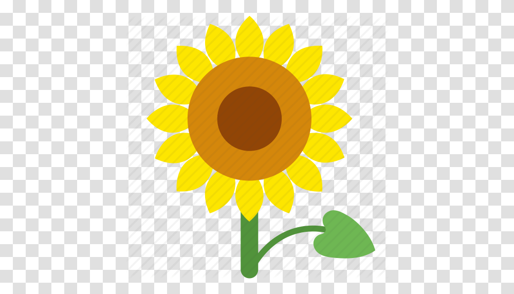 Floral Flower Garden Seed Sun Sunflower Icon, Plant, Blossom, Outdoors, Nature Transparent Png