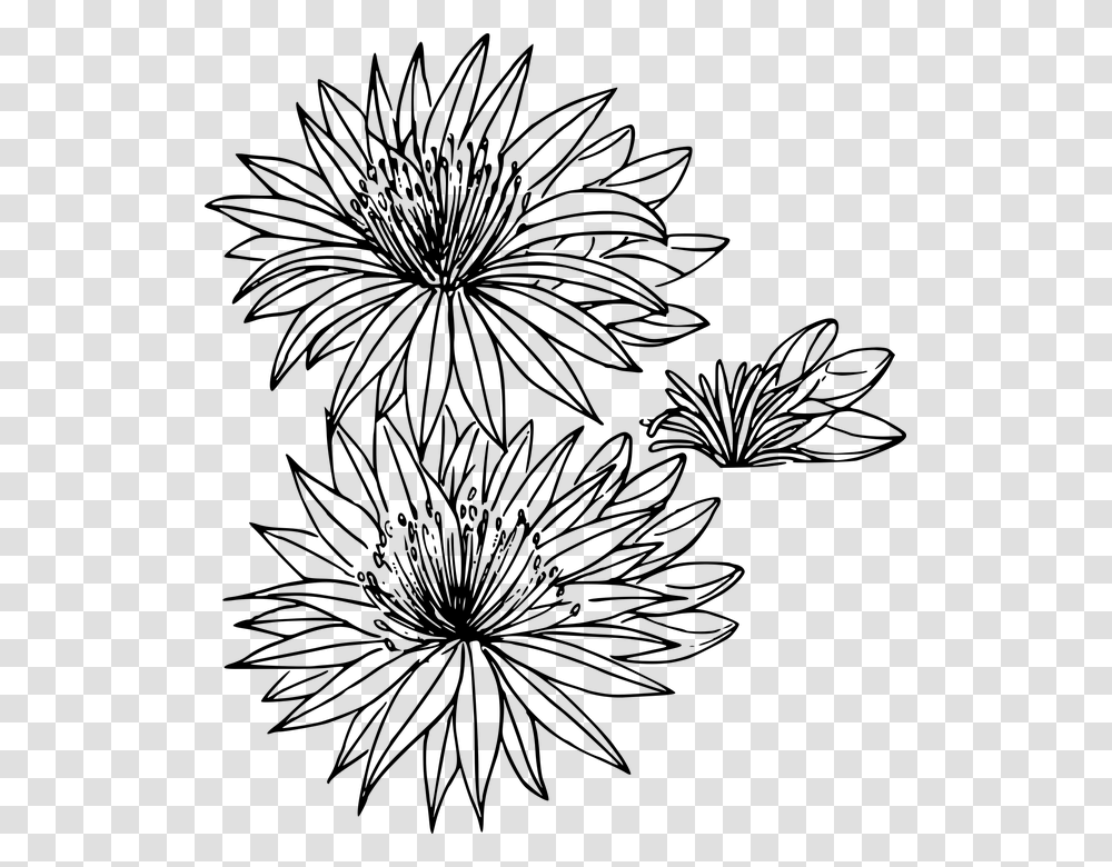Floral Flower Nature Outline Art Plant Wild Montana State Flower Drawing, Gray, World Of Warcraft Transparent Png