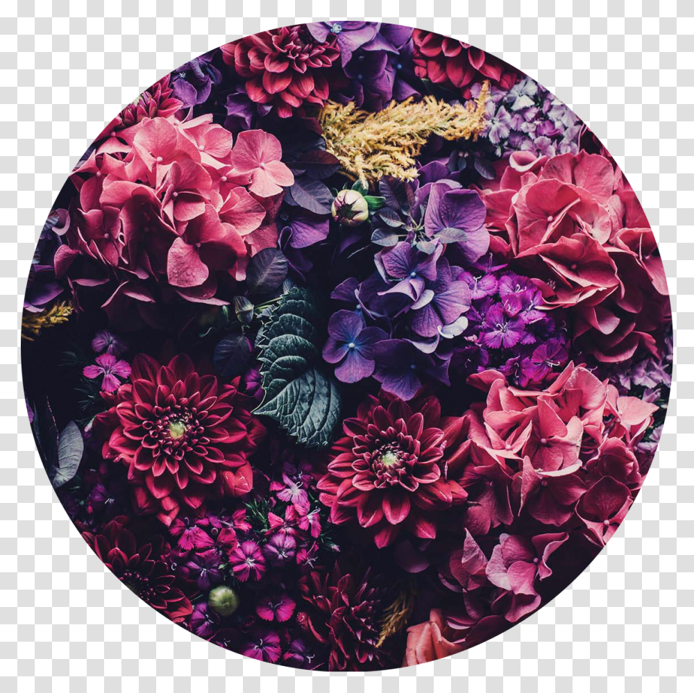 Floral Flowers Circle Aesthetic Background Pink Purple Flower Aesthetic Header, Plant, Floral Design, Pattern Transparent Png