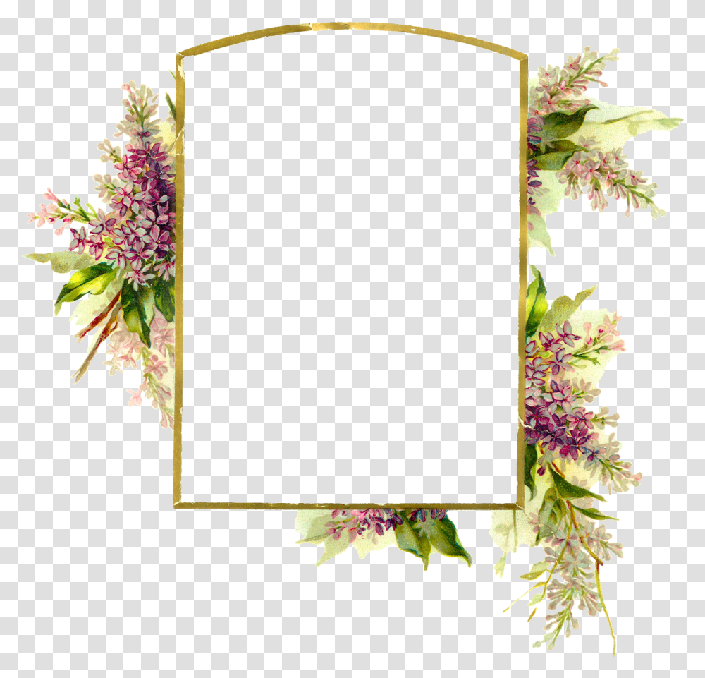Floral Frame Background Floral Frame, Plant, Floral Design Transparent Png