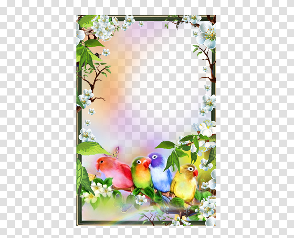 Floral Frame, Flower, Bird, Animal, Parrot Transparent Png