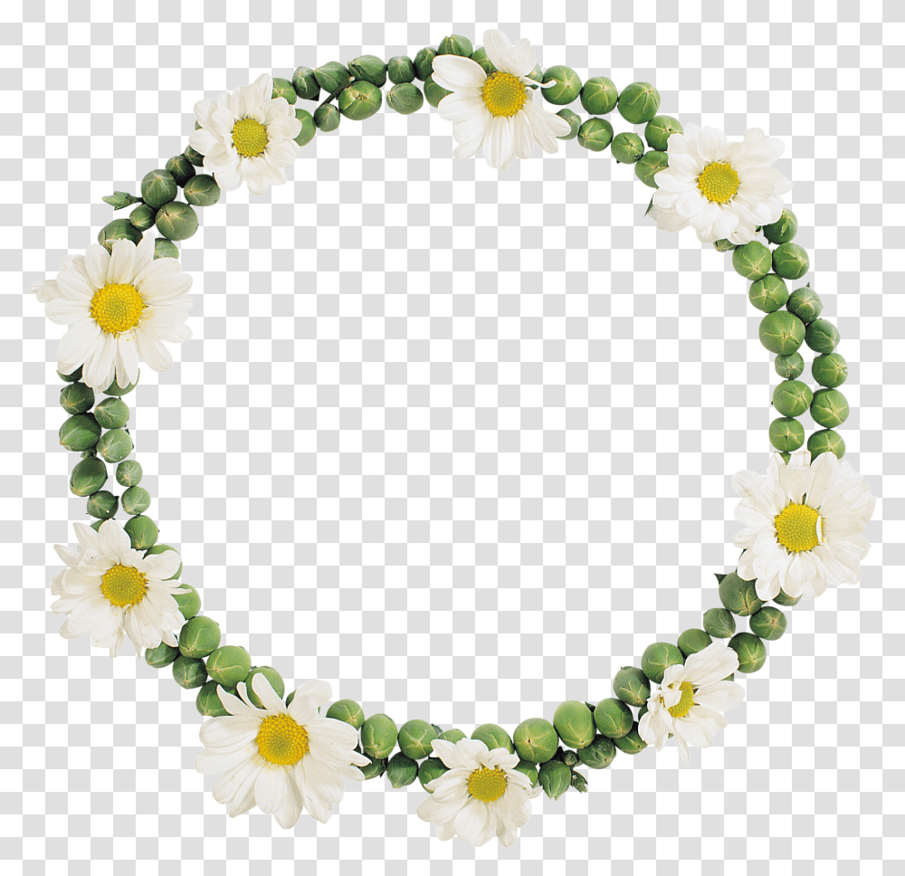 Floral Frame, Flower, Bracelet, Jewelry, Accessories Transparent Png